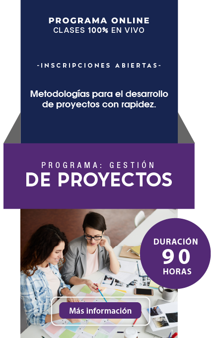 Programa Gestión de Proyectos